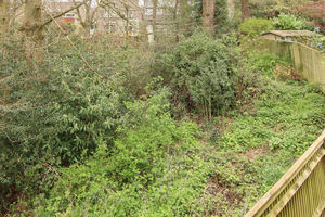 Photo 14- click for photo gallery